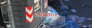 fg_macchiagialla01