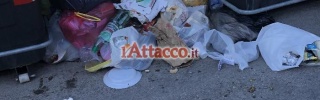 fg_macchiagialla03