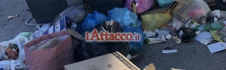 fg_macchiagialla06