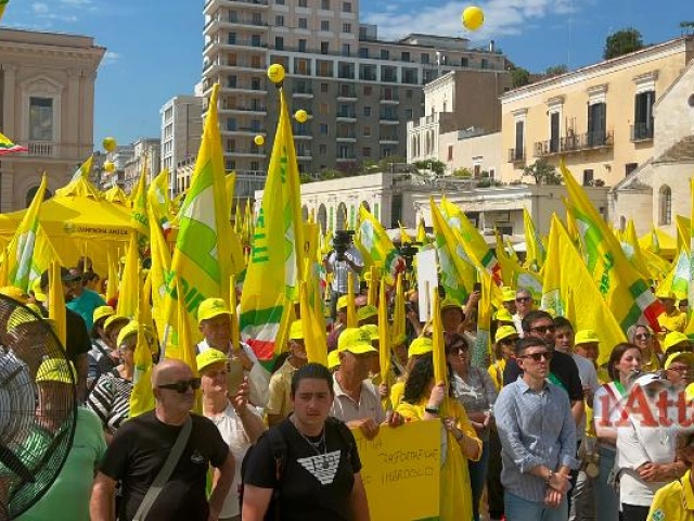 L’olivicoltura italiana protesta a Bari, Coldiretti Puglia: “Basta trafficanti di olio, più regole. Siamo stanchi”
