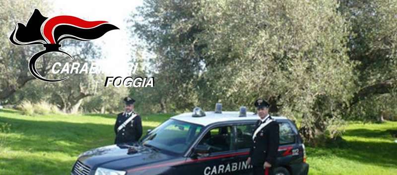 5 arresti tra Cerignola e Trinitapoli. In manette ladri di olive e pregiudicati