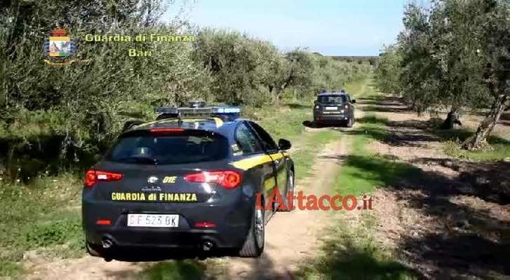 VIDEO | Falsi braccianti agricoli in aziende della Bat. Procura di Foggia e GdF scoprono truffa all'Inps