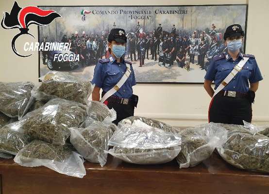 Si portavano dietro 14 kg di marijuana: arrestati due 30enni viestani alla stazione di Foggia