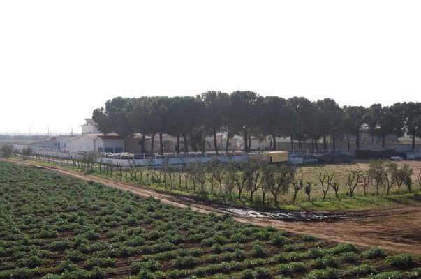 Minaccia con un coltello i carabinieri che volevano fermarlo, arrestato un gambiano