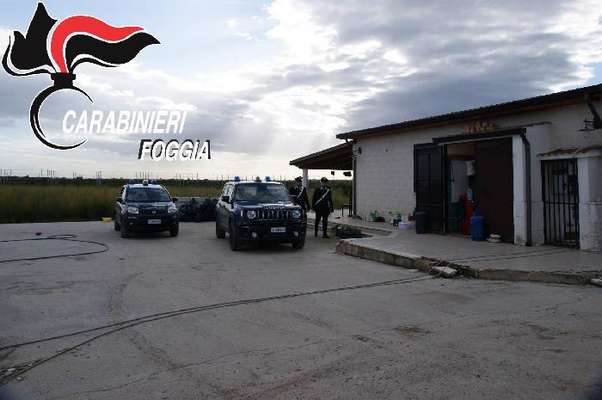 Impresa vicina a contesti delinquenziali, commissariata l'azienda agricola "Francesco Mottola" di Orta Nova