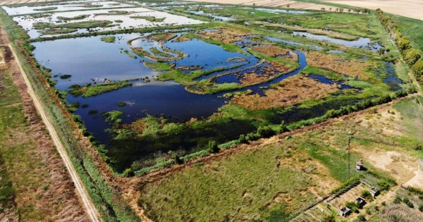 Oasi Lago Salso, il Comune di Manfredonia revoca la concessione. Il CSN: Avevamo ragione noi