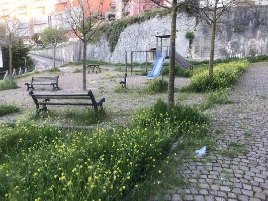 "L'erbaccia continua a crescere, anche in centro storico. Serve igiene urbana", la denuncia dell'opposizione di Monte Sant'Angelo