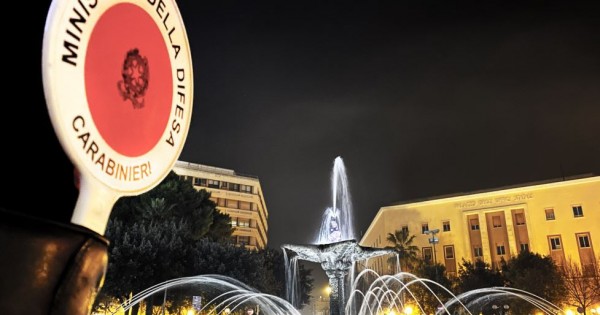 Controllo del territorio: tutti gli sforzi dell'Arma dei Carabinieri nel 2020