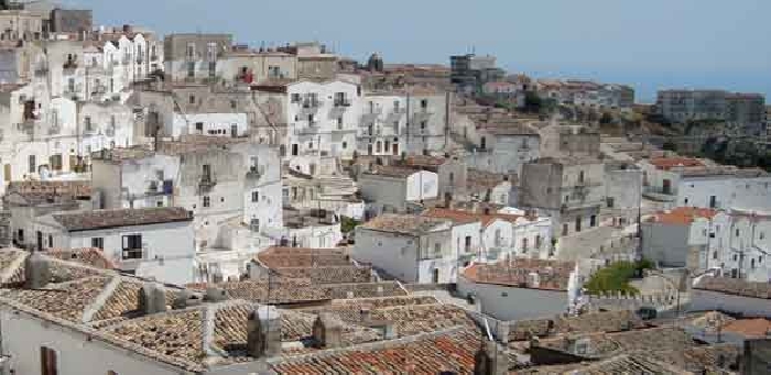 Monte, centrodestra: "L'amminisatrzione comunale richiami in servizio i co.Co.Co. per garantire igiene urbana e sanificazione"