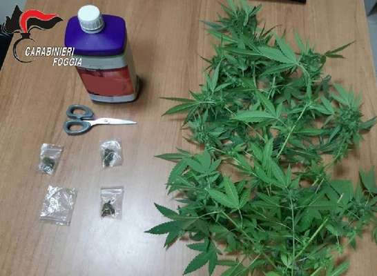 Continuava a spacciare droga anche dai domiciliari. Arrestato 41 pregiudicato di Cerignola