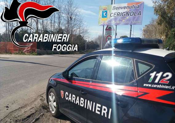 Furto di energia elettrica, ricettazione, evasione, violazione della sorveglianza speciale: raffica di arresti a Cerignola