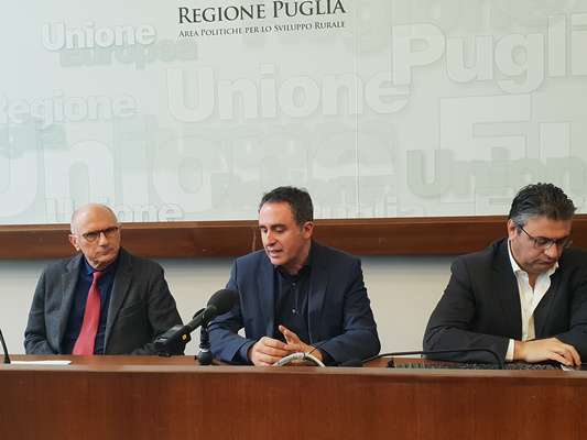 Emergenza agricola, di Gioia: "Decreto Xylella in fase di approvazione, in arrivo deroga al Piano assicurativo nazionale"