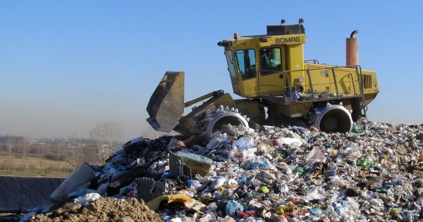 Rapporto Ecomafia 2020. La Puglia sale al secondo posto nella classifica generale dell'illegalità ambientale