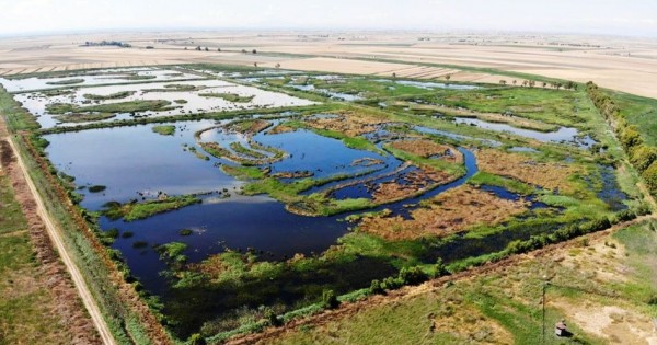 Oasi Lago Salso, che buco nell'acqua per il presidente del Parco Pazienza