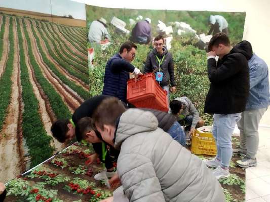 San Severo, oltre 600 studenti parteciperanno al progetto "We like, we share, we change" per un consumo consapevole