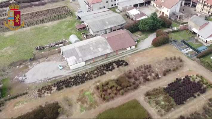 Padre e figlio con armi, Jammer e auto rubate: Polizia di Novara scopre un covo di rapinatori cerignolani
