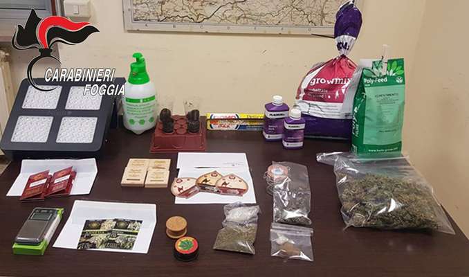 Carabinieri scoprono serra in una mansarda di San Severo. Anche un arresto per evasione