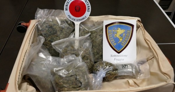 Dall'Abruzzo alla Puglia con una valigia di marijuana, arrestato 23enne pescarese