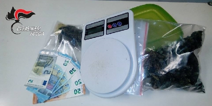 Blitz dei Carabinieri a Rodi Garganico, Carpino e Ischitella. Trovata droga nelle mutande e in frigo