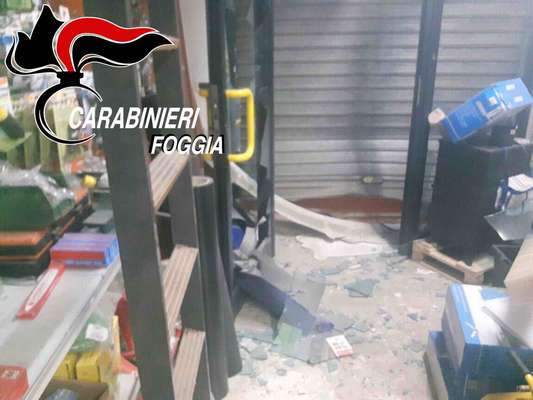 Arrestato a Cagnano Varano per tentata estorsione Vincenzo Zitoli, "la tigre del Gargano"