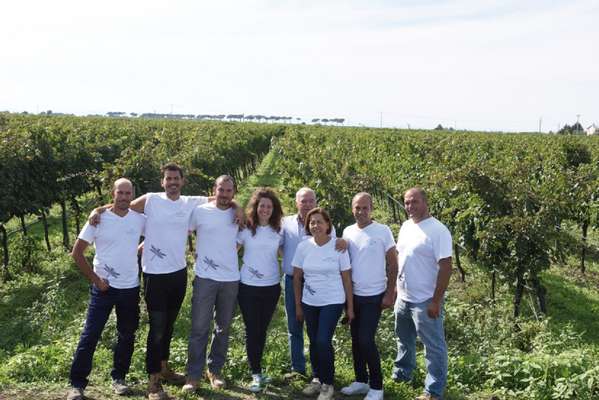 Saltano i tappi e fioccano premi alla Decima edizione Città del Vino, premiato il Nero di Troia dell'azienda ofantina Caiaffa