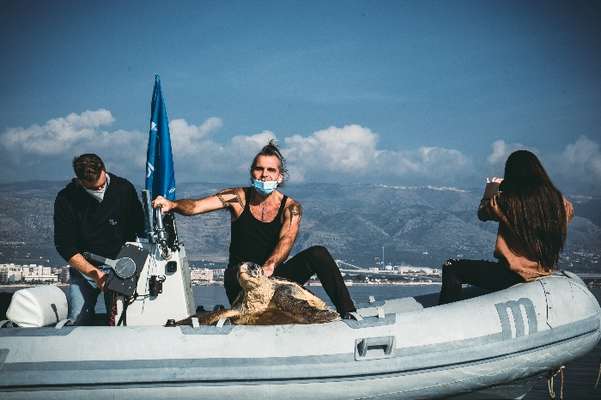 Manfredonia, Piero ha liberato Pelù, la tartaruga rock del mar Mediterraneo
