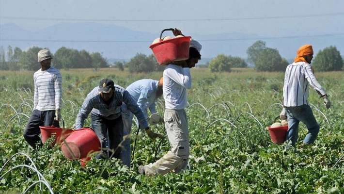 Braccianti sfruttati e costretti a lavorare fino a 14 ore al giorno, 7 misure cautelari e 5 aziende in controllo giudiziario