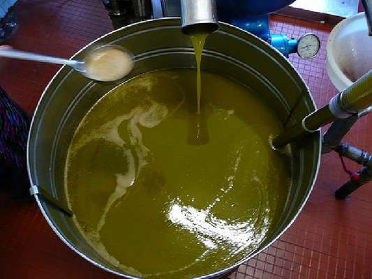 Olio di semi spacciato per olio d'oliva, arresti a Cerignola e Firenze