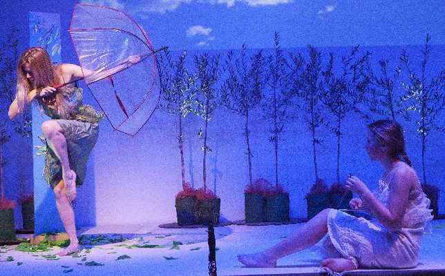 San Severo, in scena la performance "Metamorfosi. Il sacro ulivo si racconta"