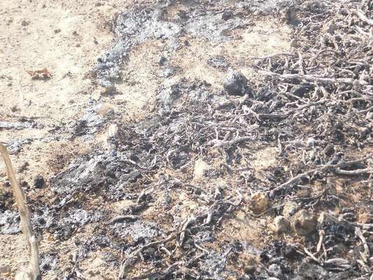 Beccato a bruciare i tubicini dell'irrigazione nei campi di San Paolo, deferito 74enne