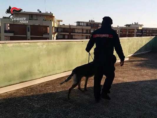Cerignola, blitz durante le riprese di Striscia la Notizia nel quartiere San Samuele: due arresti
