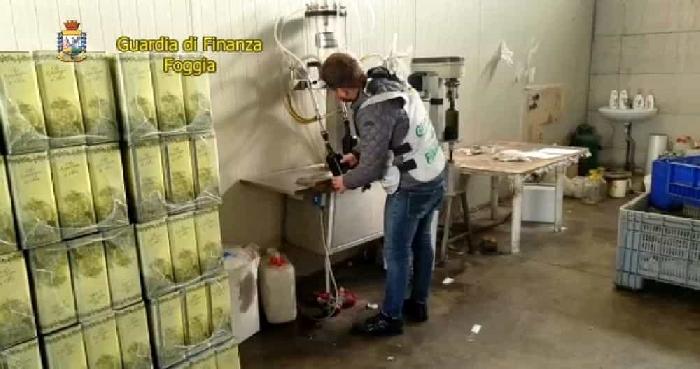 Frodi, CIA Capitanata: "Più valore al Made in Italy per salvare il comparto dell'olivicoltura"