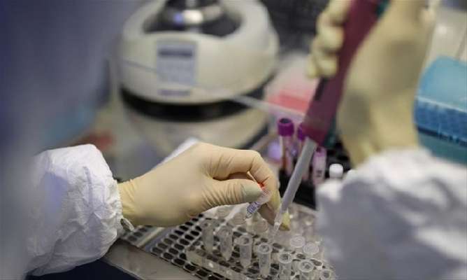 I laboratori dell'Istituto Zooprofilattico hanno isolato e sequenziato il genoma di due virus Sars Cov 2