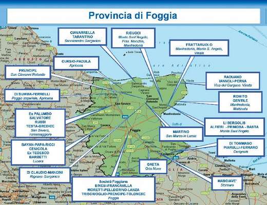 Relazione Dia: nel Foggiano sono caduti i vertici mafiosi, ma le organizzazioni provano a 'fare rete'