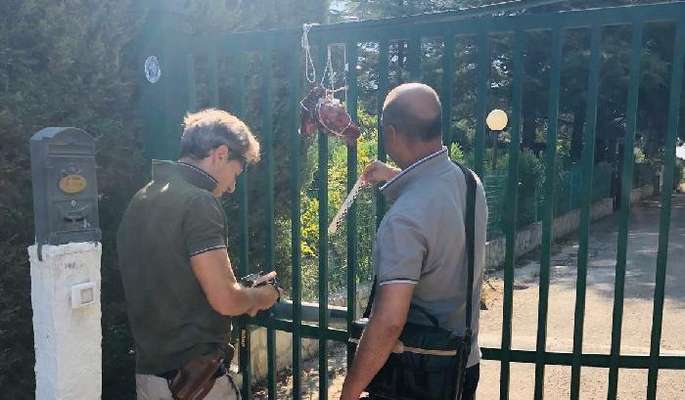 Intimidazioni all'Ad della Meleam: Non è possibile che il calcio sia causa di queste aggressioni
