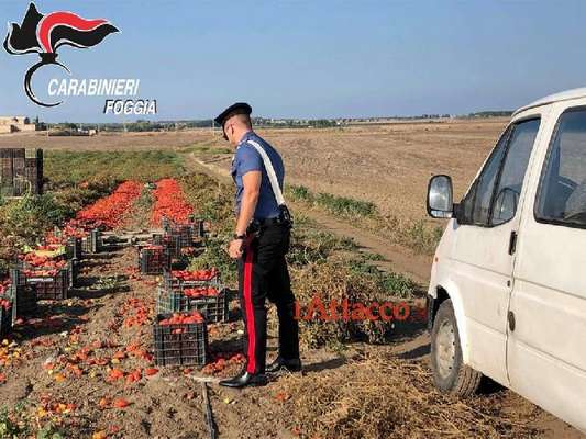 Task force della Prefettura contro il caporalato e lo sfruttamento dei braccianti