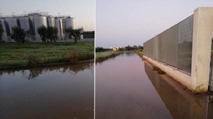 Sabotaggio silos, colpita anche un'azienda di Torremaggiore: "E' un attentato alla comunità "
