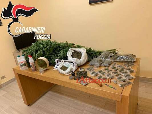 Avevano creato un vero centro di coltivazione della marijuana, arrestata 'coppia della droga'