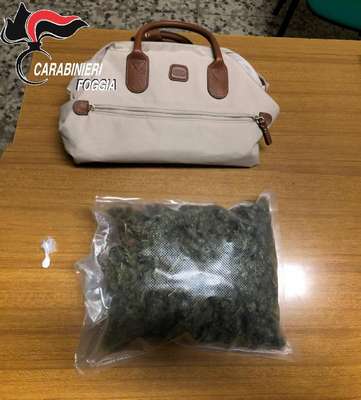 San Nicandro Garganico, tentano di scappare al posto di blocco: in auto avevano marijuana e cocaina