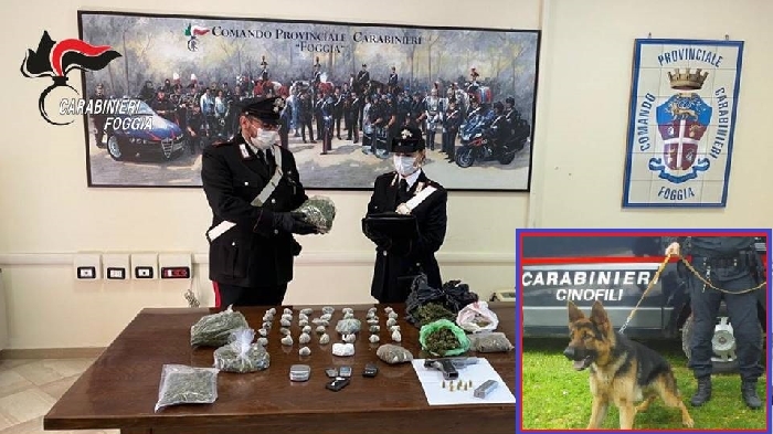 Blitz dei carabinieri all'Onpi di Foggia: arrestati padre e figlio per detenzione ai fini di spaccio di sostanza stupefacente