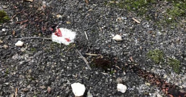 Omicidio Cagnano Varano, eseguita l'autopsia sul corpo di Marrucchelli: l'esame potrebbe chiarire alcuni aspetti