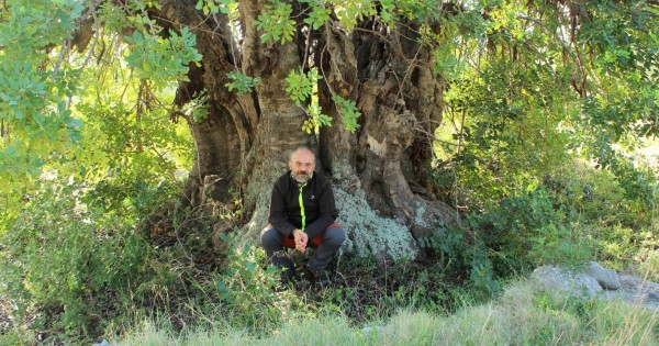 Bellezza e varietà. Il Gargano dei sentieri e dei cammini nella ricerca della guida Matteo Falcone