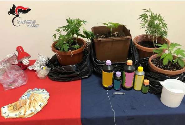 Beccato a Lucera il "ladro delle chiese". Agli arresti anche uno spacciatore del posto