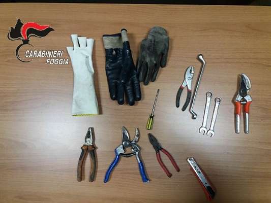 Cerignola, ladri di rame colti sul fatto. Tra arresti