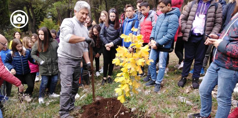 Il Consorzio protagonista della Giornata Nazionale dell’Albero
