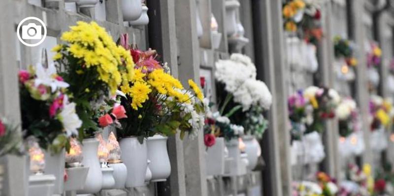 Commemorazione defunti, Coldiretti Puglia: ritorno nei cimiteri con 50mila crisantemi