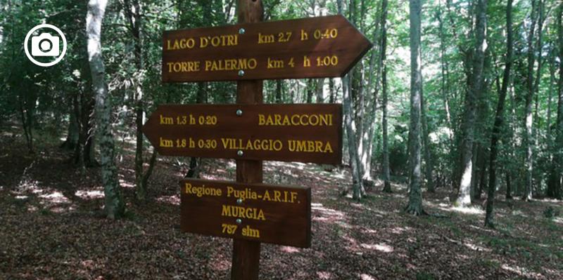 Uomo scomparso in Foresta Umbra, ricerche in corso dell’Arif