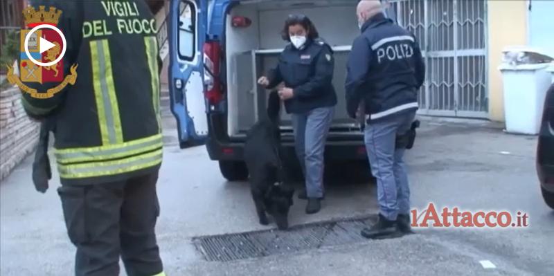San Severo, operazione di Polizia contro lo spaccio di stupefacenti