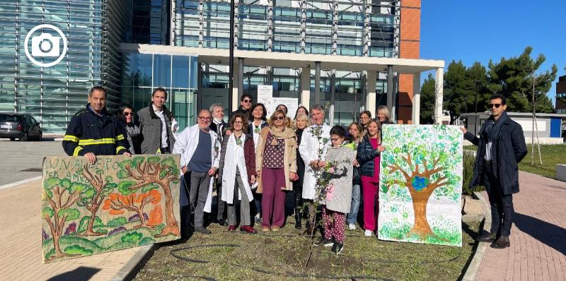 Un albero per la Struttura Chirurgica Pediatrica del Riuniti 