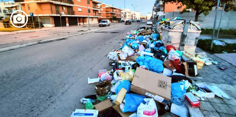Rifiuti Foggia, WWF: “Occupata mezza carreggiata, cassonetti sul marciapiede ed è impossibile camminare”